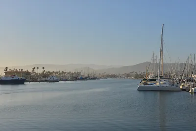 DSC_7234 (Large).JPG